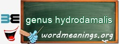 WordMeaning blackboard for genus hydrodamalis